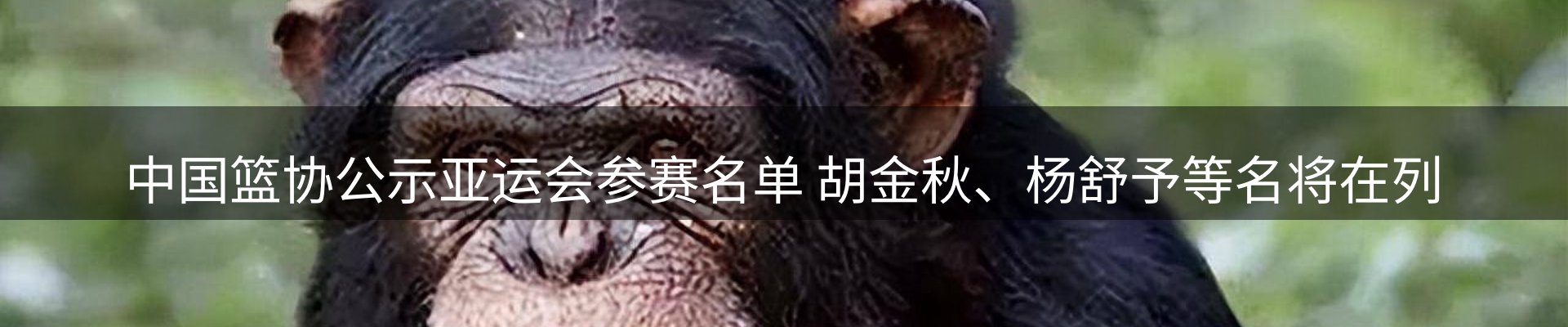 公司推荐