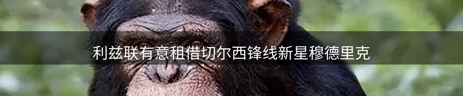 公司推荐