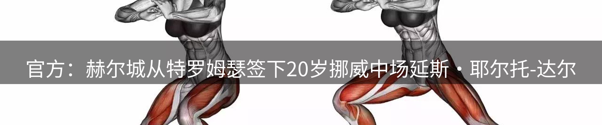公司推荐