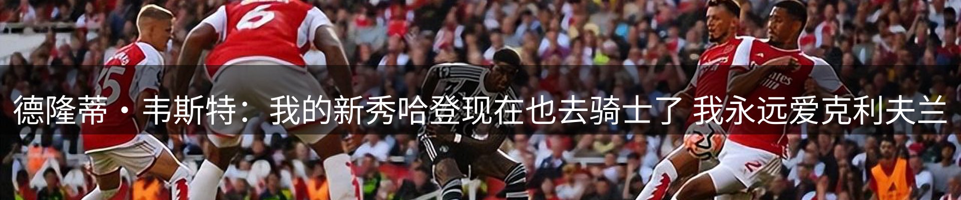 公司推荐