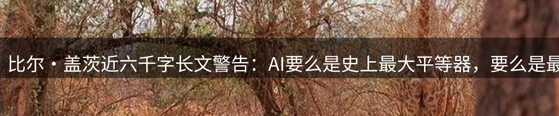 公司推荐