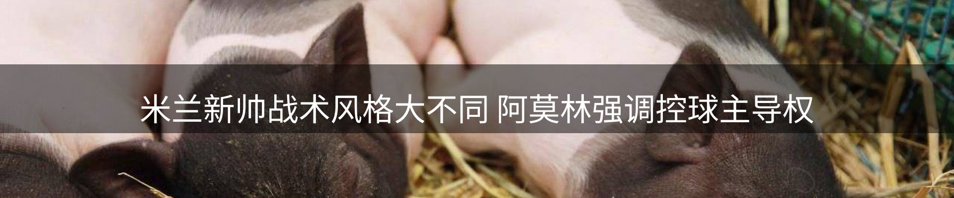 公司推荐
