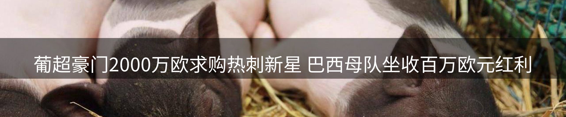 资讯动态