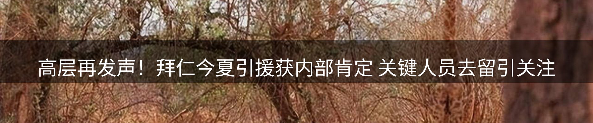 资讯动态